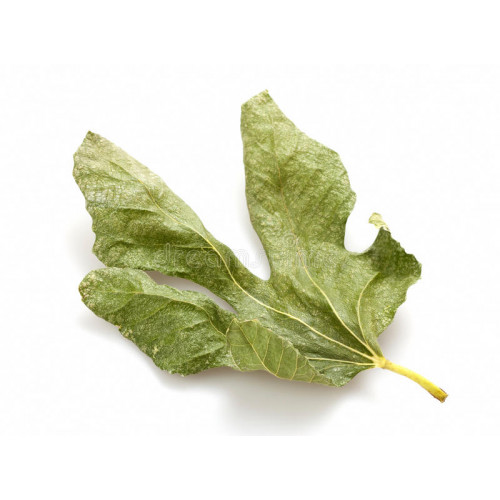 Natural Turkish Fig Leaves (Premium Grade) - 100g