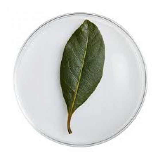 Natural Saudi Harmal Leaves (Premium Grade) - 150g