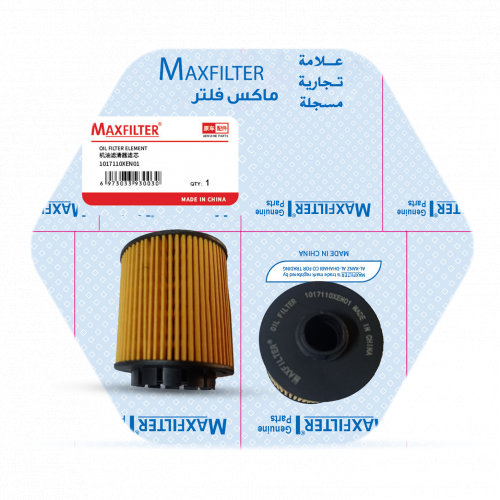 فلتر زيت 1017110XEN01