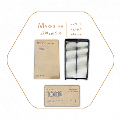 فلتر الهواء  28113-A9200