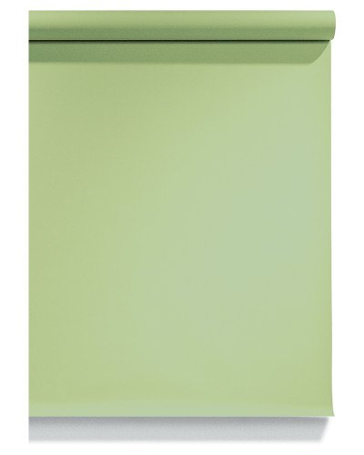 EMAILY Background Paper Rolls 2.72x10m #13 Tropical Green