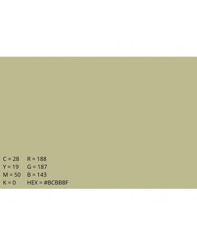 EMAILY Background Paper Rolls 2.72x10m #13 Tropical Green