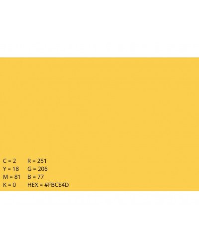 Background Paper Rolls 2.72x11m Buff