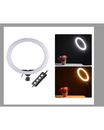Ring Fill Light CXB-260 26CM with Tripod Stand