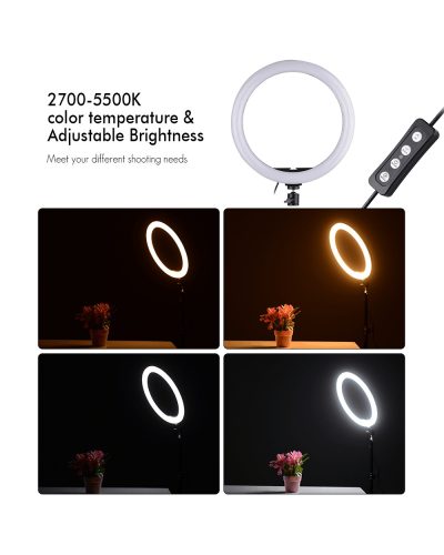 Ring Fill Light CXB-260 26CM with Tripod Stand