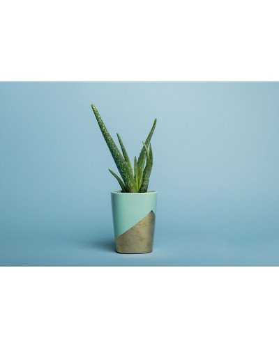 Background Paper Rolls 1.36x11mm Sky Blue