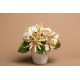 Background Paper Rolls 1.36x11mm Beig