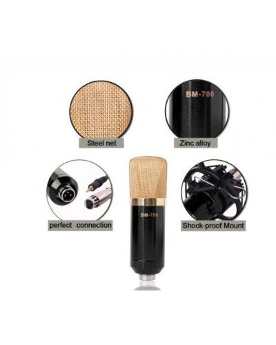 BM700 Microphone Kit