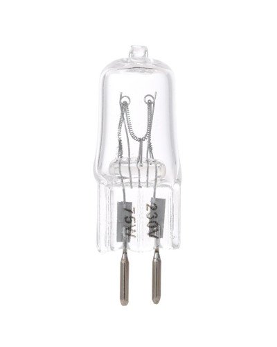 Photo Studio Lamp Bulb 