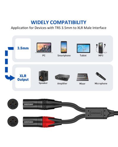 Aux 3.5mm (1/8 Inch) Male to Dual XLR 3-Pin Dual XLR Male Stereo Audio Cable 1M