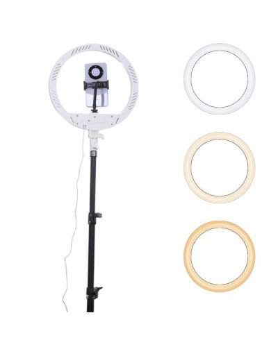 NiceFoto LR-313CII LED Ring Light