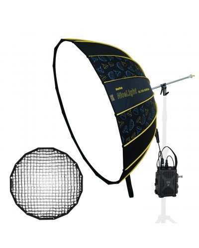 NiceFoto DL120-3000A 300W Bi-Color Umbrella Light(With Grid)