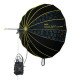 NiceFoto DL120-3000A 300W Bi-Color Umbrella Light(With Grid)