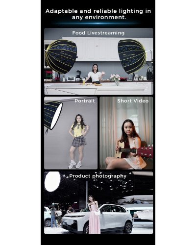 NiceFoto DL80-1000A 100W Bi-Color Umbrella Light(With Grid)