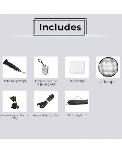 NiceFoto DF80-1000A 100W Bi-Color Umbrella Light(With Grid)