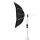 NiceFoto DP80-1000B 100W (Daylight) Umbrella Light