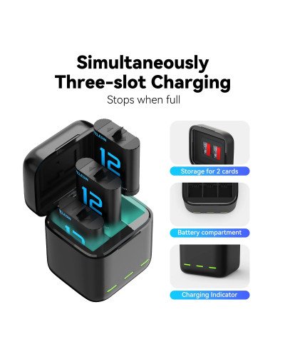 TELESIN Charging Case With 2 Batteries for Hero 12/11/10/9