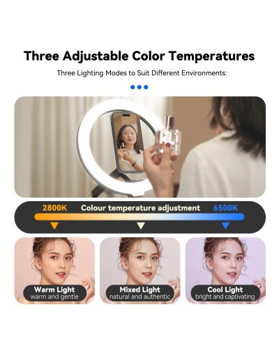 TELESIN Mobile Magnetic Floor Stand with 10 inch LED Photography Ring Light Selfie Fill Lamp TELESIN Mobile Magnetic Floor Stand with 10 inch LED Photography Ring Light Selfie Fill Lamp