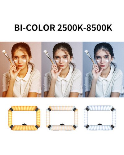 Ulanzi U200 Ring Light Video Rig