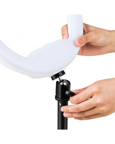 VILTROX WE-9 RGB Live Broadcast Ring Light (10.4")