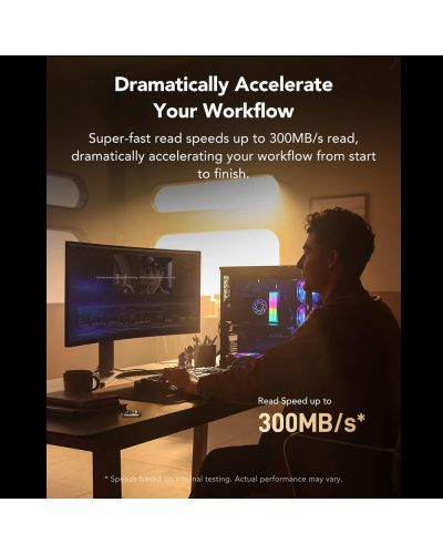 Lexar 256GB SDXC Gold UHS-II R300/W260MB/s V90