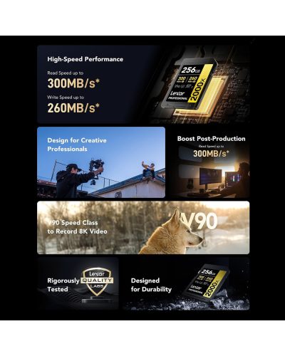 Lexar 256GB SDXC Gold UHS-II R300/W260MB/s V90