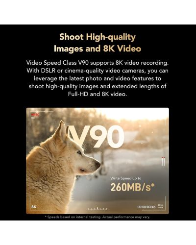 Lexar 256GB SDXC Gold UHS-II R300/W260MB/s V90