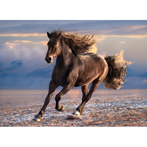 أحجية بازل - 1000 قطعة – مثالي للعب حل الألغاز الذي ينمّي التركيز ومهارات التعلم المبكر