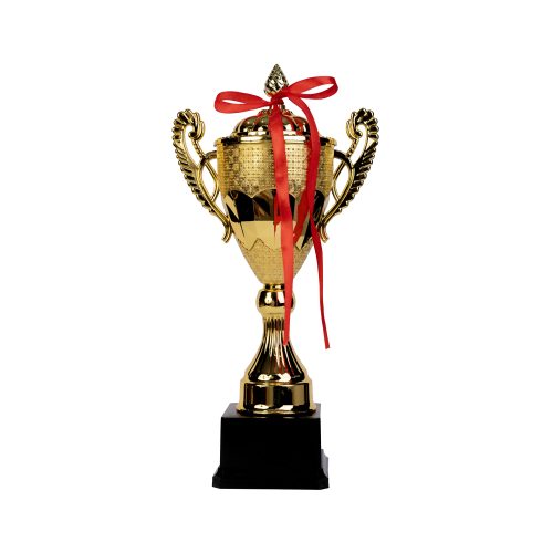 كلاس كأس تكريم 34cm – مثالي للاستخدام اليومي في المدرسة أو المنزل أو المكتب