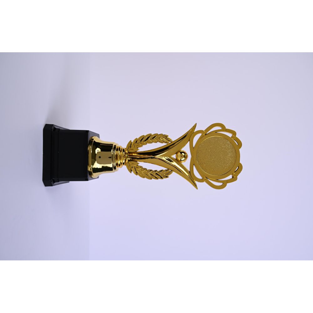 كلاس كأس تكريم 23cm - ذهبي – مثالي للاستخدام اليومي في المدرسة أو المنزل أو المكتب