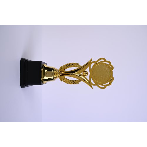 كلاس كأس تكريم 23cm - ذهبي – مثالي للاستخدام اليومي في المدرسة أو المنزل أو المكتب
