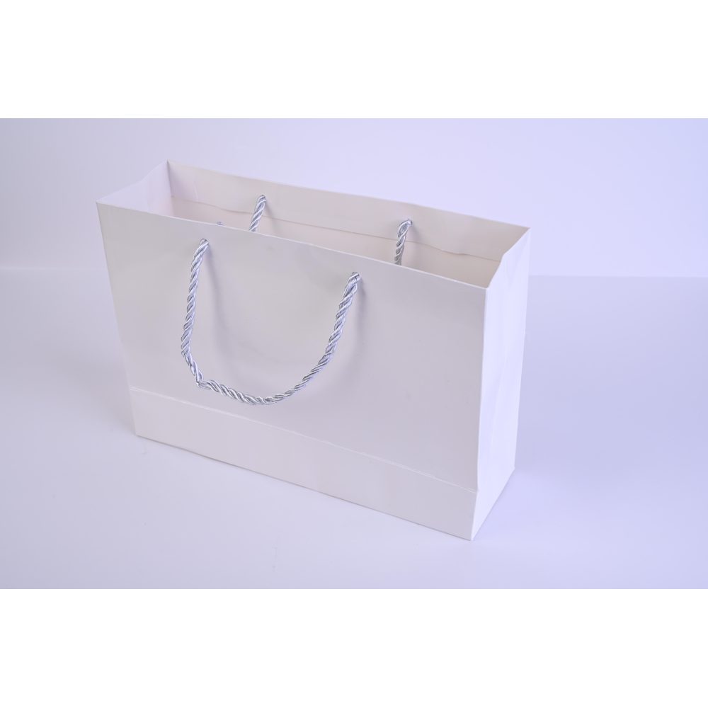 كلاس كيس هدايا 25cm - 17.5×7.5 سم – مثالي للذهاب إلى المدرسة والتنقل اليومي وحمل الأغراض - طقم من 12 قطعة