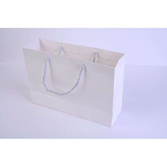 كلاس كيس هدايا 25cm - 17.5×7.5 سم – مثالي للذهاب إلى المدرسة والتنقل اليومي وحمل الأغراض - طقم من 12 قطعة
